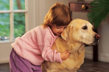 little girl with her dog and very happy after her home was cleared of methamphetamine reside in Sarasota